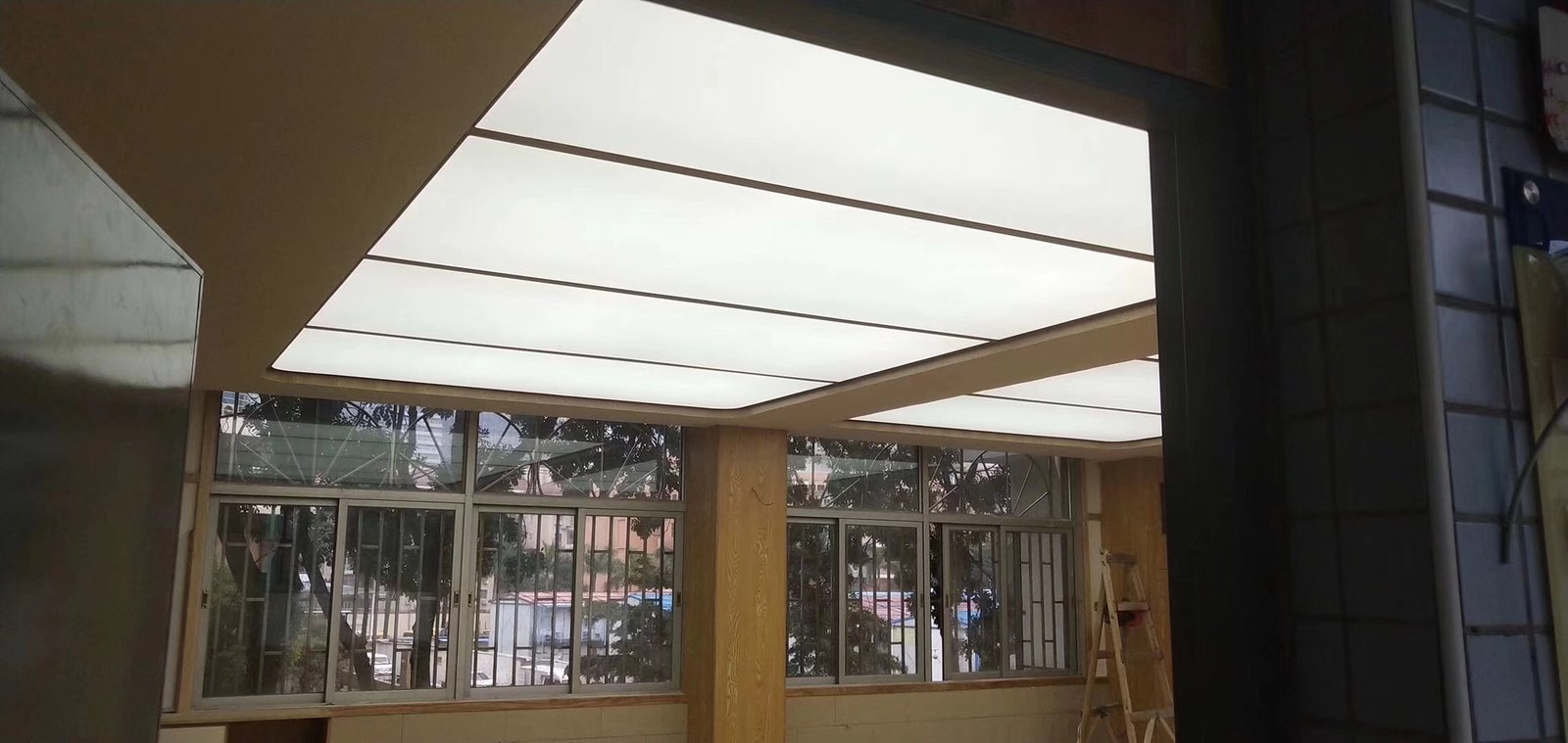 Translucent Grid Image